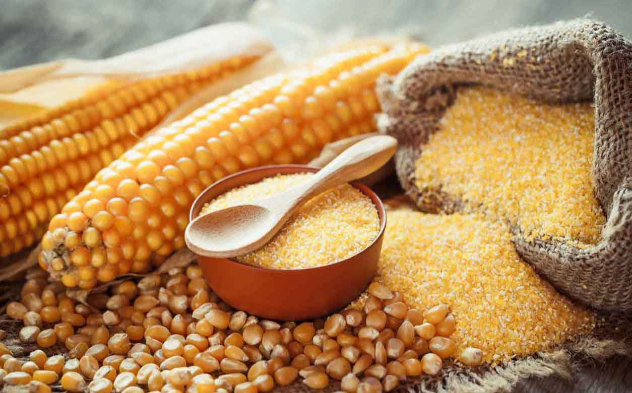 Corn commodity